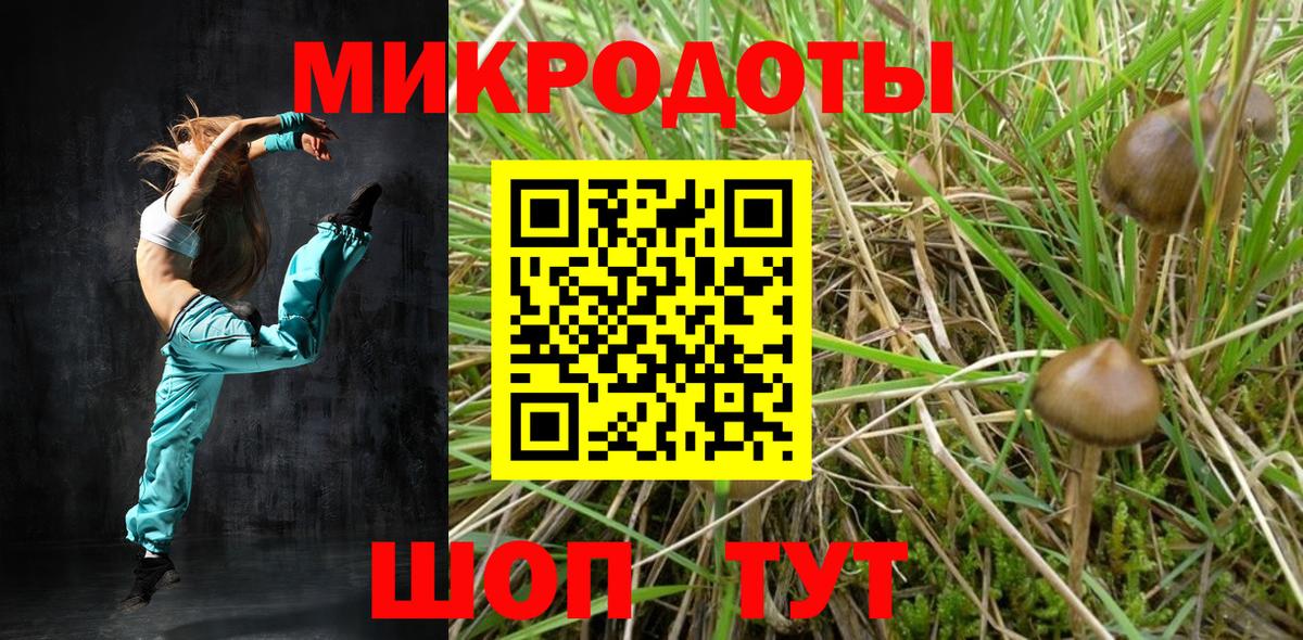 Галлюциногенные грибы Psilocybine cubensis  Вход с VPN  Спасск-Дальний 