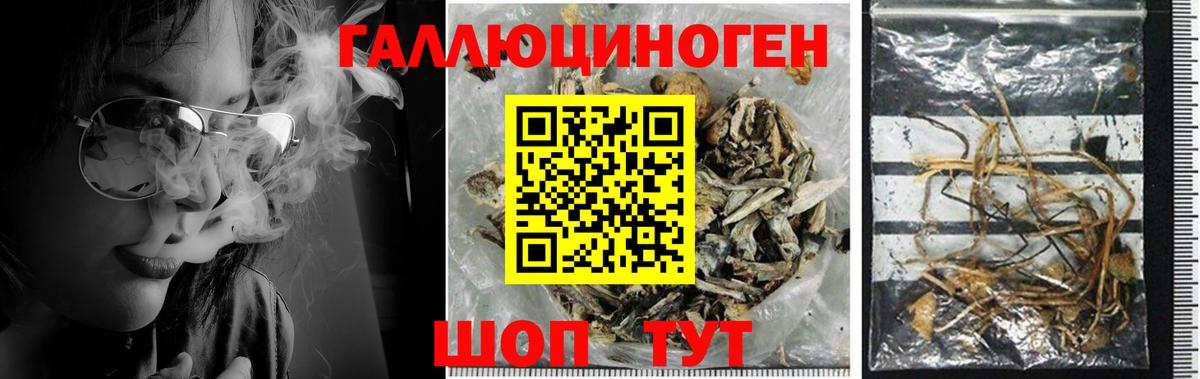 Галлюциногенные грибы Magic Shrooms Спасск-Дальний